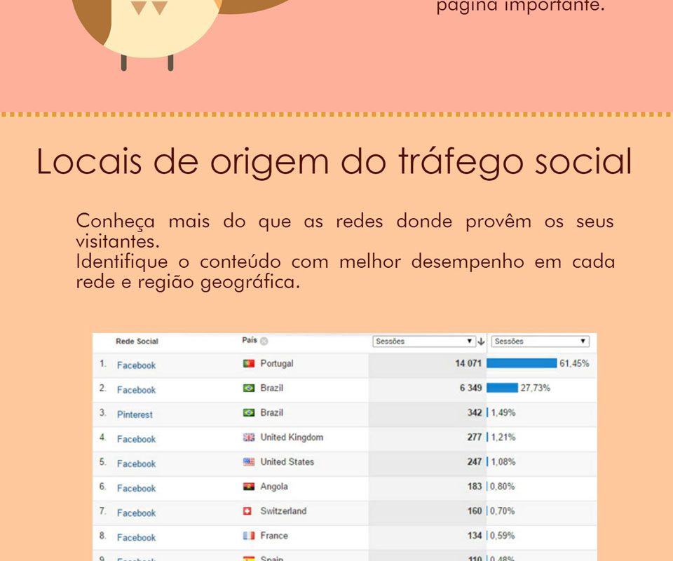 Analytics - Para Redes Sociais Infografia